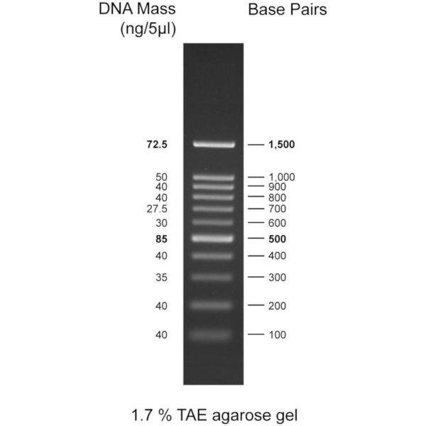 CSL-MDNA-2.WEB_100-1,5kb.jpg