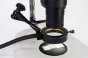 Ringlys+arm-1.jpg