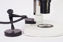 arm+sidelys-1.jpg