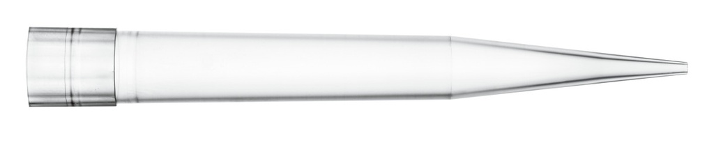 791002.2.jpg