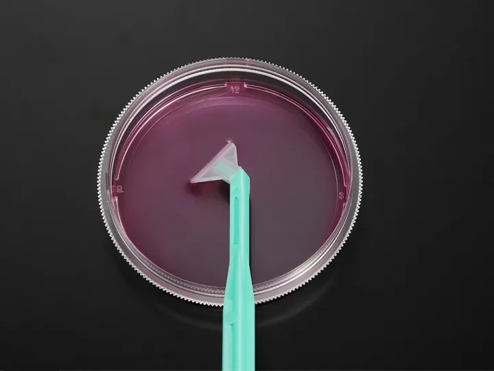 JET-Biofill celleskraber.webp