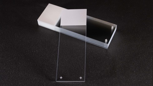 [1180440] Slides, Epredia, Superfrost PLUS, white frosted tab, 90° ground edge, 72 pcs
