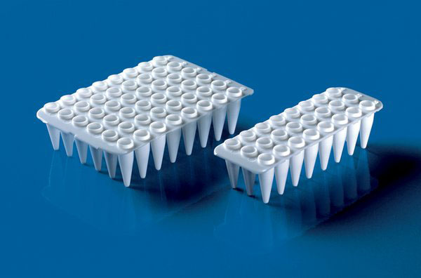 48-well PCR-plates, PP, white, qPCR (pack of 20)