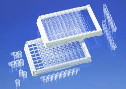 Strip plates,12xF8,non dividable,HB (pack of 100)
