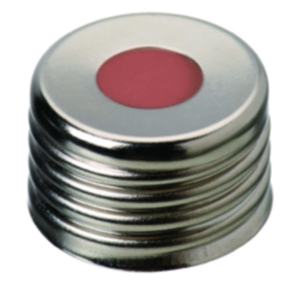 Screw cap, LLG, N 18, magnetic steel w. hole, silver, precision, butyl/PTFE 55 A