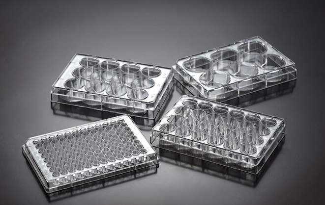 [4672523] Tissue Cult.plates 4-well, 1.96cm²,treated,sterile