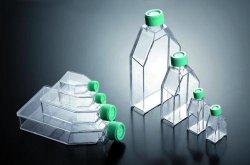 Tissue Culture Flasks, JET-Biofill ventilated lid, 75 cm², 100 pcs