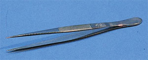 Forcep, straight, sharp, 145mm