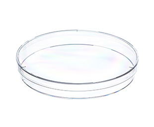 [1471216] Petri dish with vents, Ø145 x 20 mm