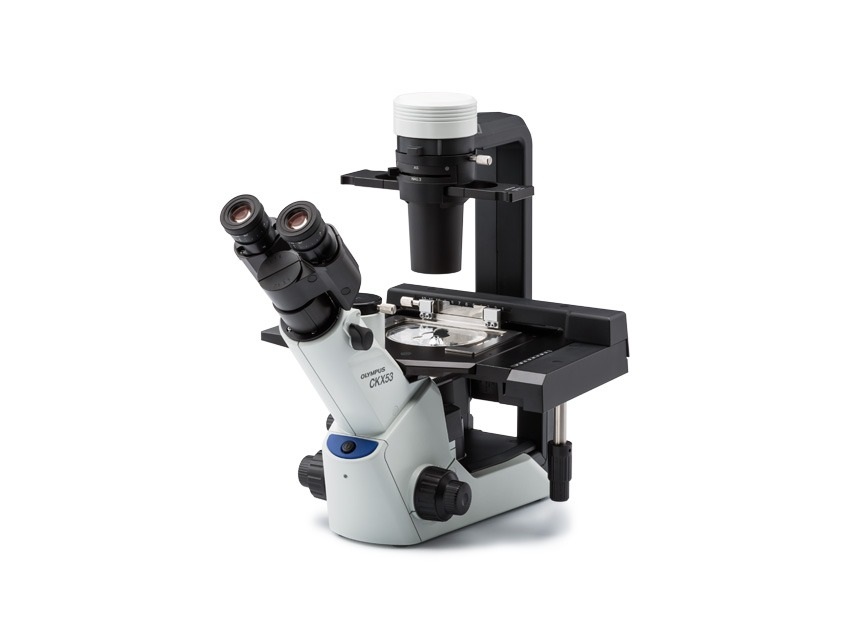 [5610400] Microscope, Olympus CKX53, 4x/10x/40x
