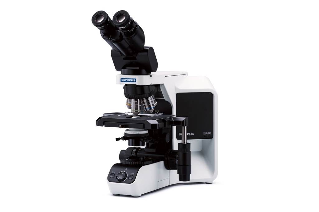 [5612010] Microscope, Olympus BX43 PH, 10x/20x/40x