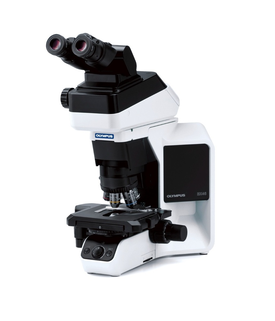 Microscope, Olympus BX46 Ergo, 4x/10x/40x