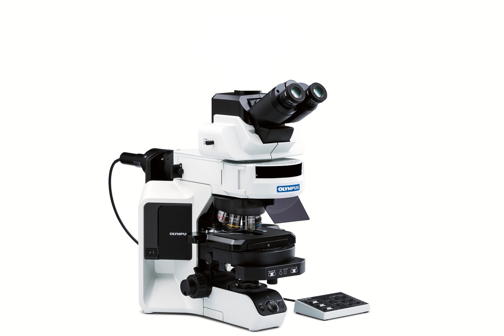 [5612200] Microscope, Olympus BX53 FL, 4x/10x/40x
