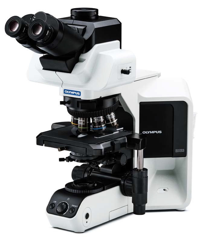 [5612220] Microscope, Olympus BX53 PH, 10X/20X/40X