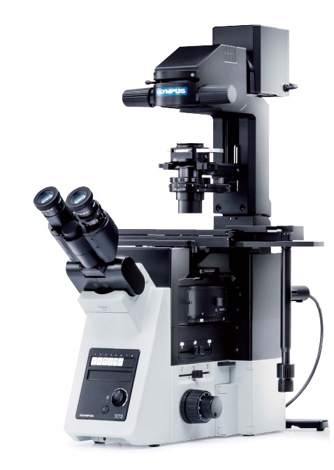 [5614104] Microscope, Olympus IX73 DIC, Semi-motorized, 4x/10x/20x/40x