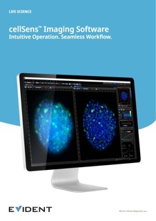 Olympus cellSens Entry/Standard module, Manual Process