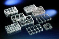 Multidishes, Nunclon™? Surface,  no. of wells 4 ,