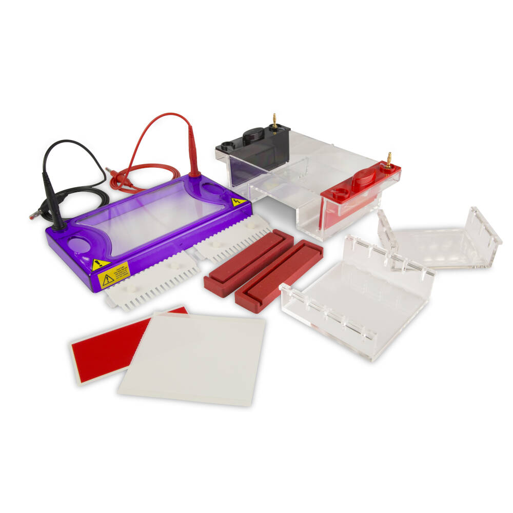 [6238115] MultiSUB midi, 100x70/100x100mm,2 combs w 16 sampl