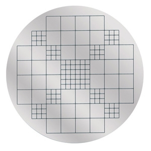 [6238272] Wolfhuegel graticule/segmentation discs, for colon