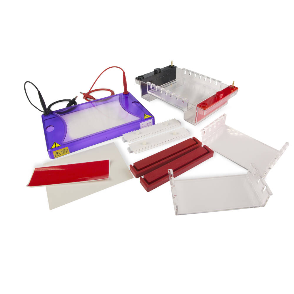 [6239273] Electrophoresis multiSUB Choice,15x7/15x10/15x15cm