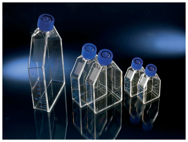 Cell culture flasks, EasYFlas, 75 cm², collagen I