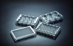 Tissue Culture plates 96-well, PS 0,38cm², treated