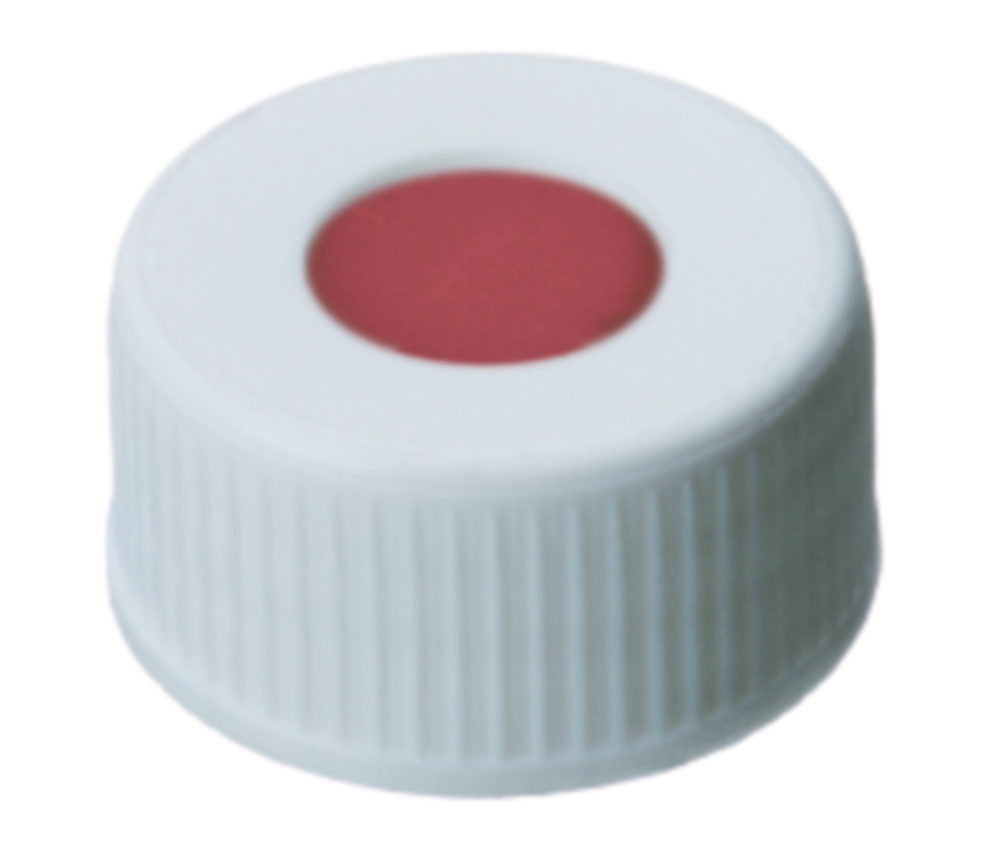 Screw cap, LLG, N 24, white PP w. hole, butyl/PTFE 55 A
