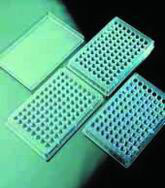[1957116] Kartell Microplate flat bottom Aseptic