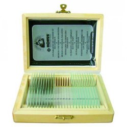 Set of 10 slides, biology, set 2
