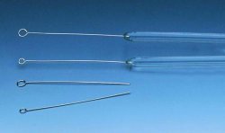 Inoculation loops, platinum-ir idium, Type fused i