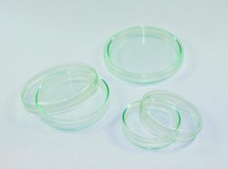 [9170570] LLG Petri dish Ø40 x 12 mm, glass