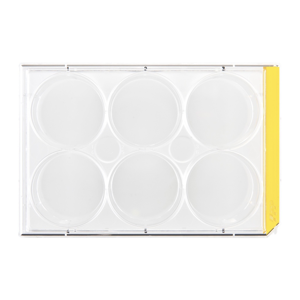 [92006] Cell culture plate, TPP, 6 wells, Ø33.9 mm, 126 pcs