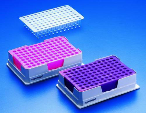 [9283578] Eppendorf PCR-Cooler, Description PCR-Co oler, 0.2 ml blue